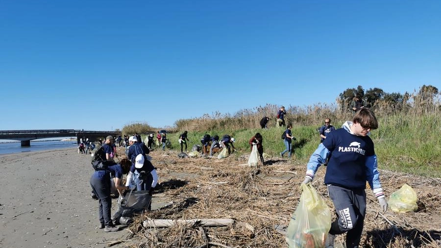 Volontari di Plastic Free all'opera su una spiaggia