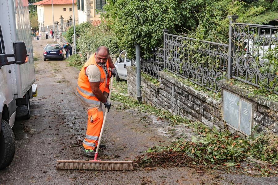 immagine di sfondo 14