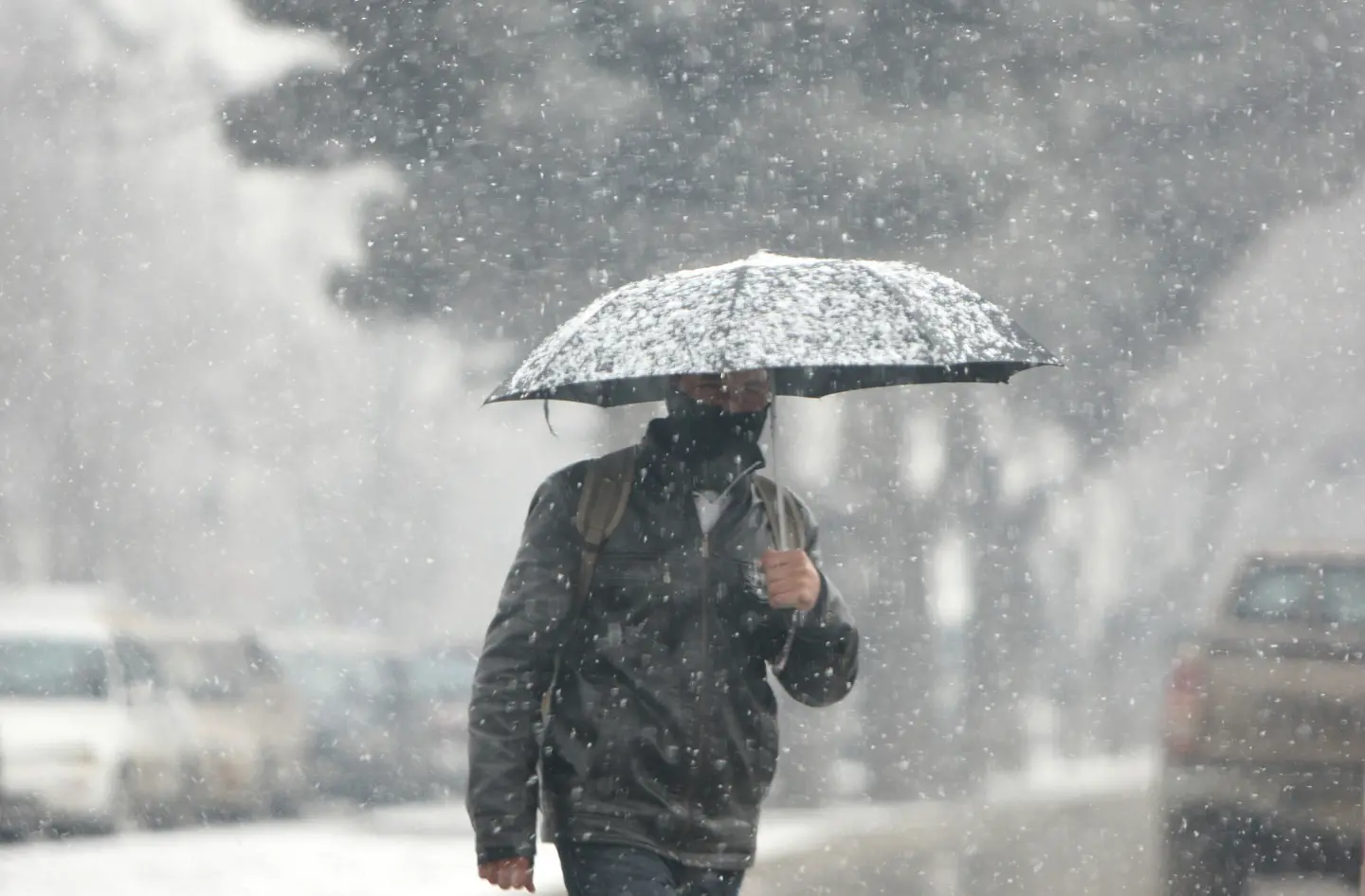 Neve a Viareggio, c'è l'allerta