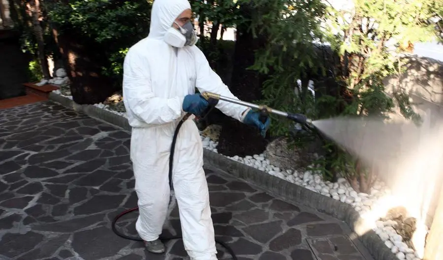 Zanzara West Nile, un nuovo caso a Pescia