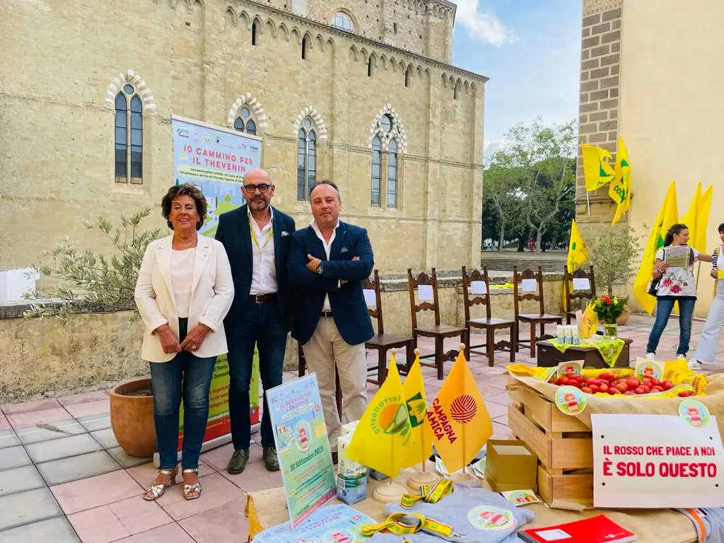 Io cammino per il Thevenin passeggiata solidale nel cuore di Arezzo