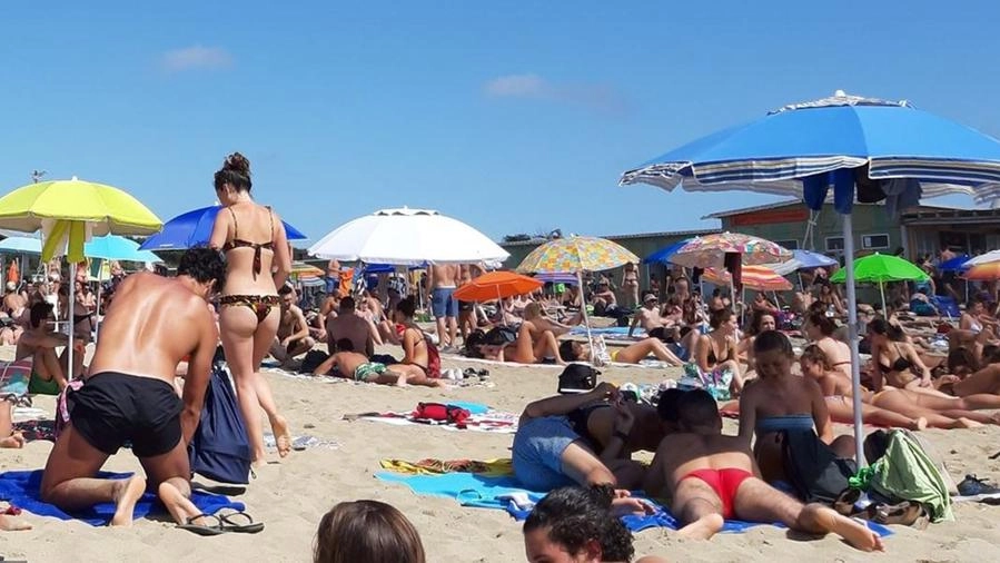 Spiaggia libera di Tirrenia nel caos, Confcommercio scrive al Prefetto