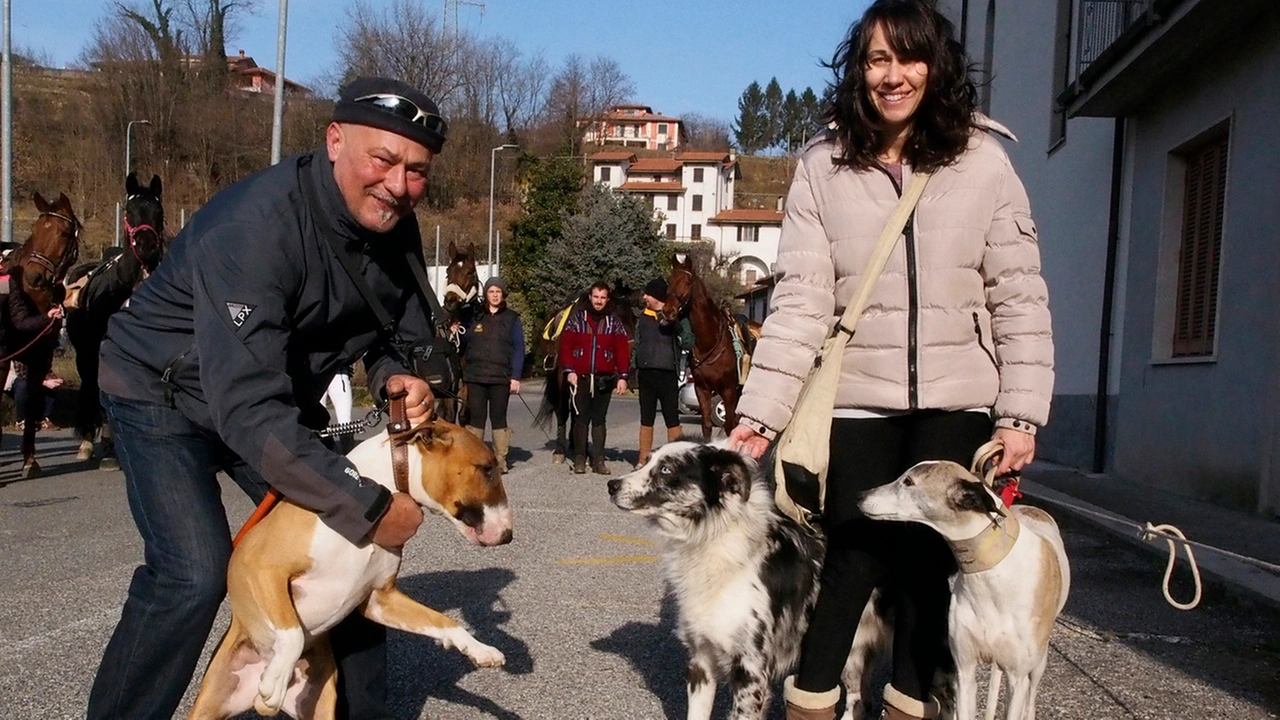  Domenica scorsa ad Arpiola c’erano tanti animali con i loro padroni