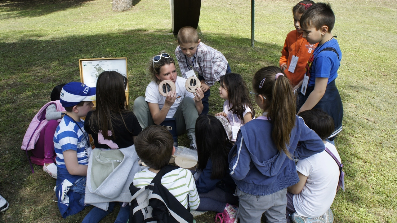 Educazione ambientale