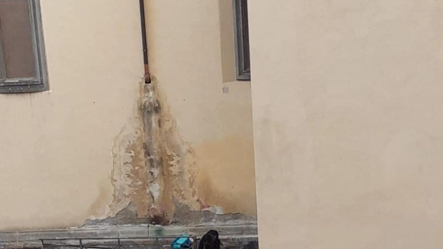 Uno spacciatore immortalato dai residenti in Santo Spirito