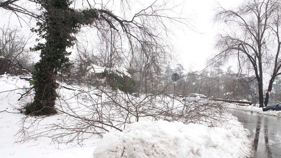 Attesa neve a bassa quota nel week end