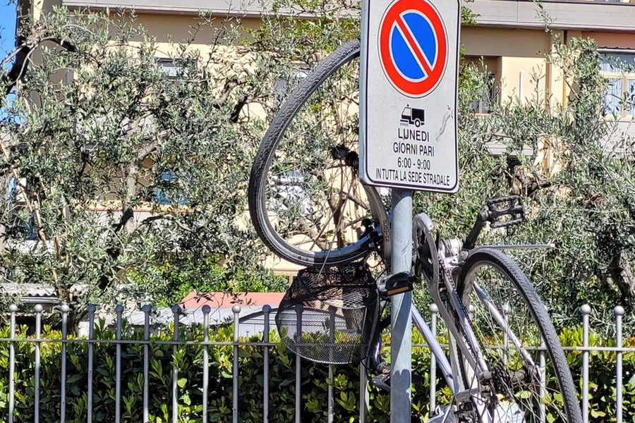 La bici coinvolta nell'incidente