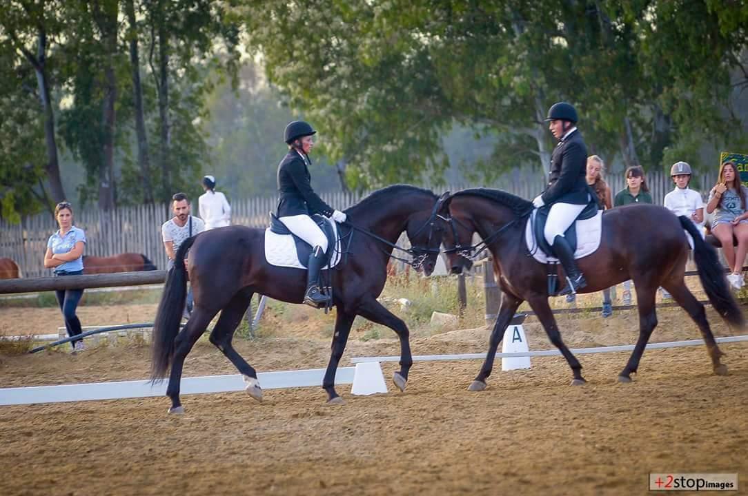 Cavalli e monta da lavoro, a Narni il campionato italiano / VIDEO