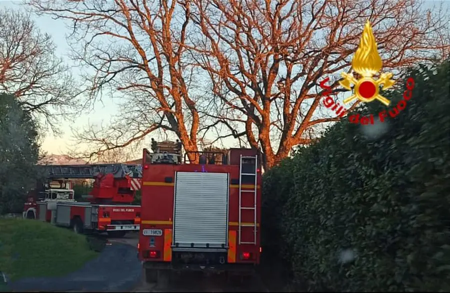 Urta Cavi Elettrici Mentre Pota Gli Alberi, Soccorso Dai Vigili Del Fuoco