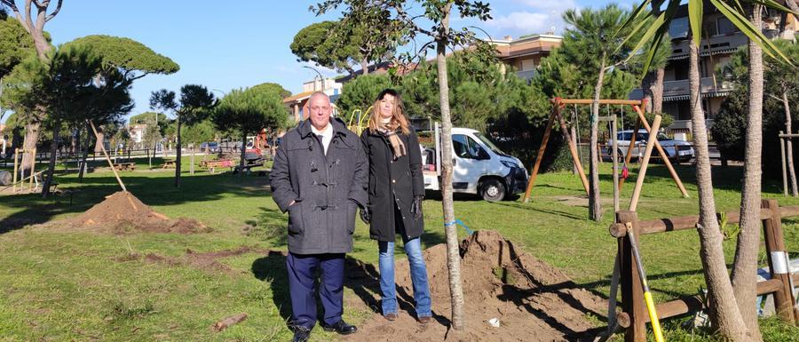 Boschi Urbani Dalle Parole Ai Fatti Prende Il Via La Piantumazione