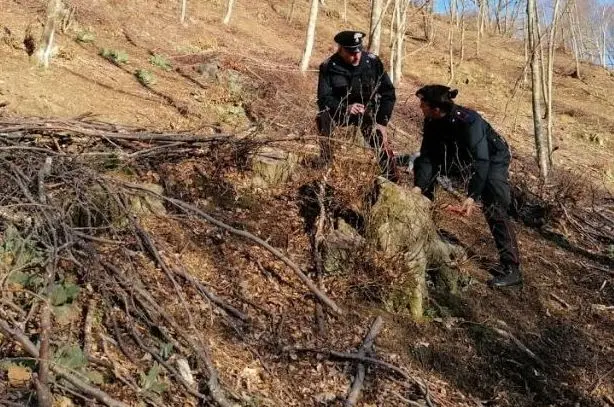 Si perde nei boschi e passa la notte all'aperto. La trovano al mattino i carabinieri