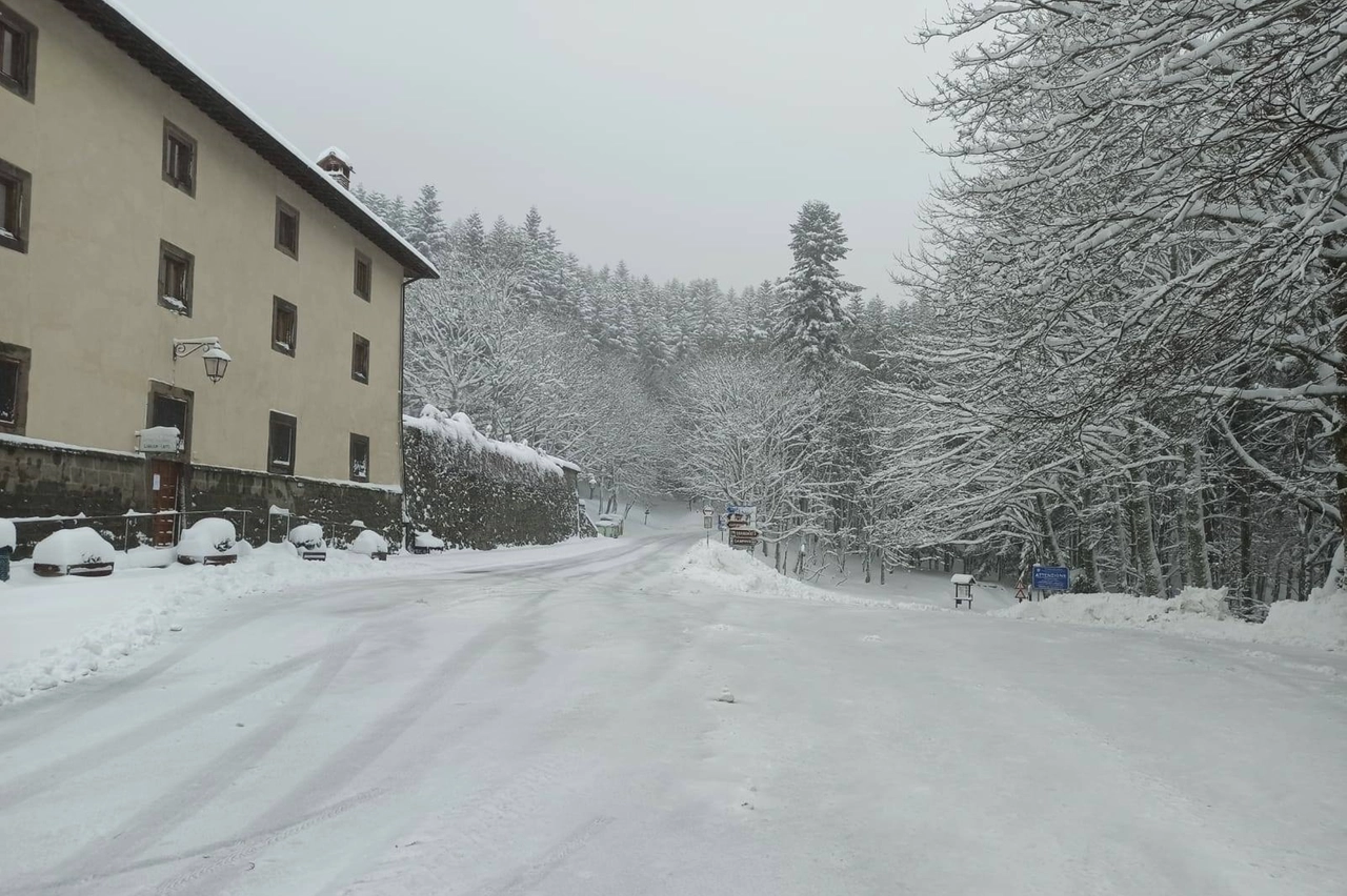 Le immagini dal Parco delle foreste casentinesi