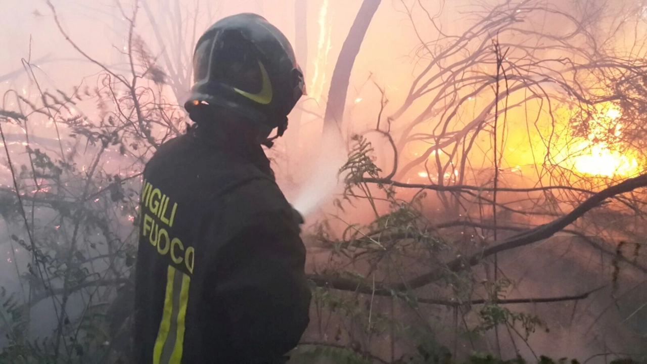 Vigili del fuoco in azione