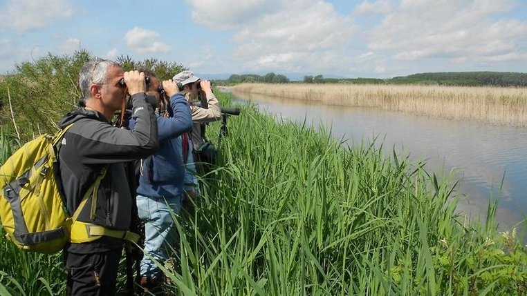 Ciclo d’incontri organizzato dal Centro di ricerca, documentazione e promozione di Castelmartini e dal comune di Cerreto Guidi