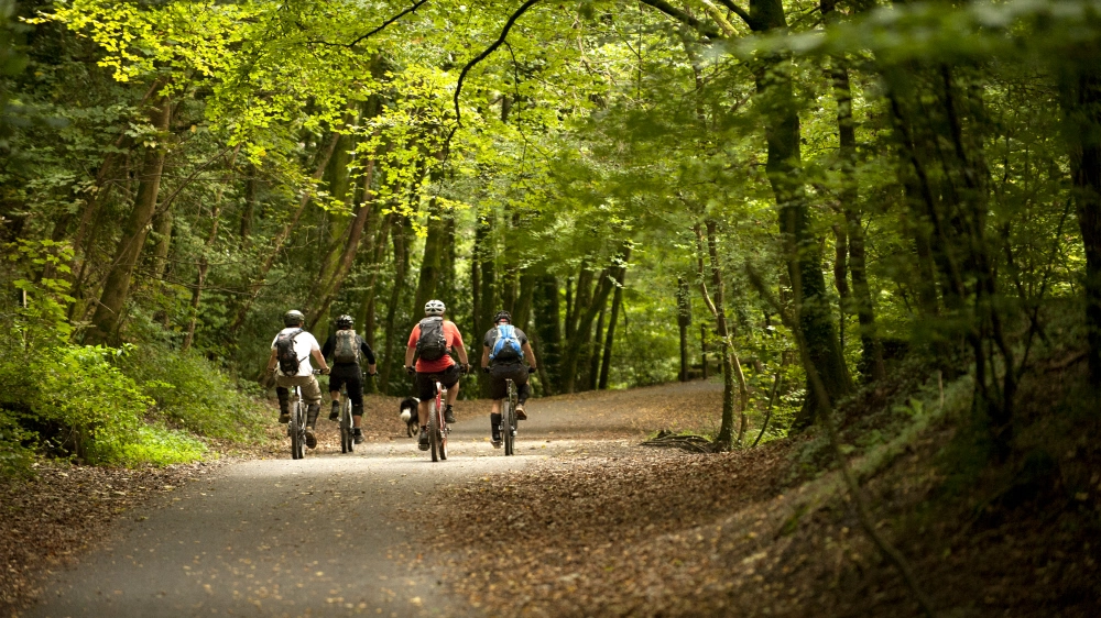 Il Parco di San Rossore