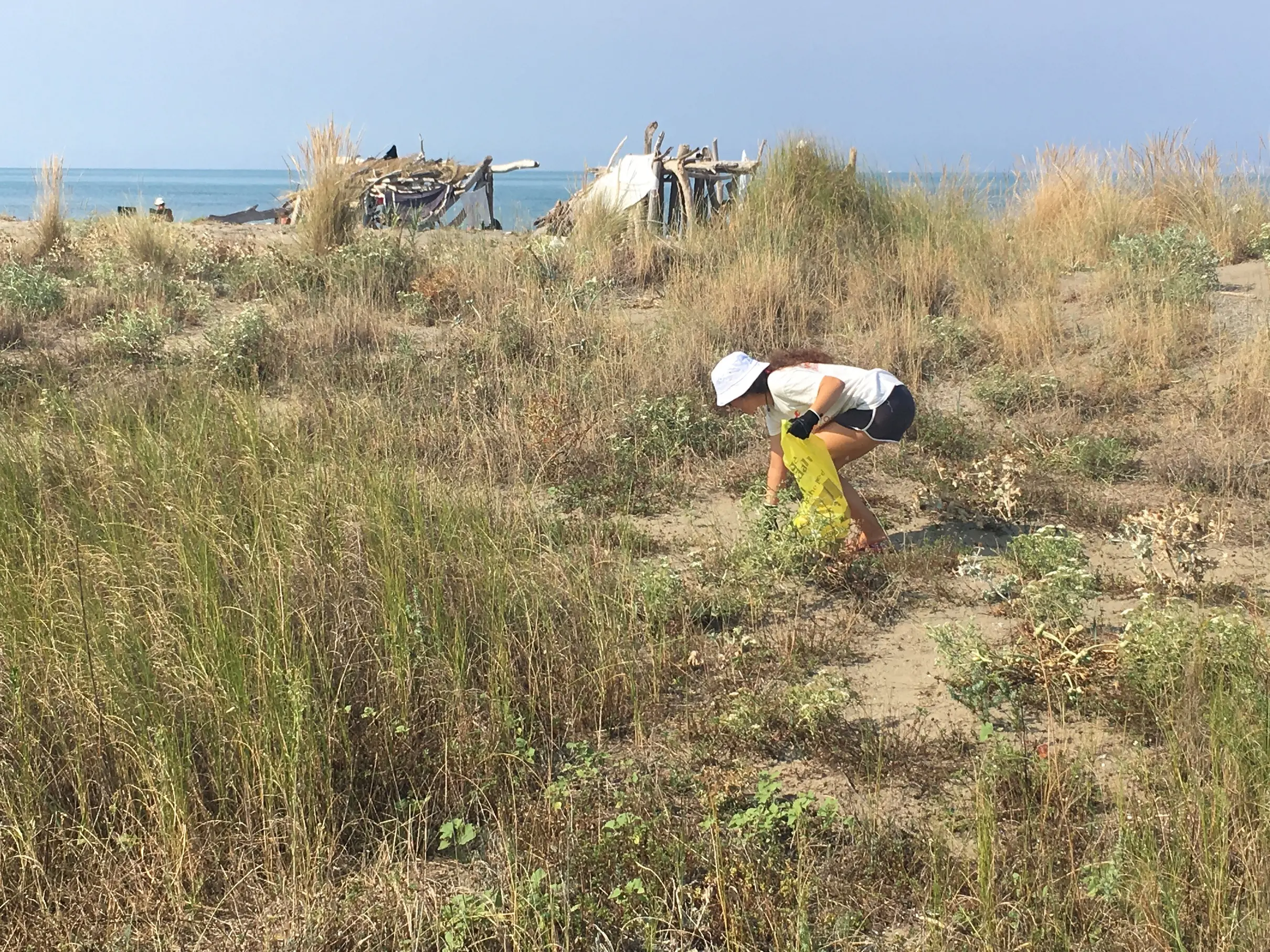 Pulizia straordinaria della spiaggia del Parco della Maremma: riempiti 18 sacchi