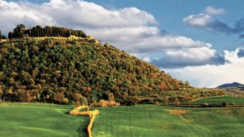 Torna "Sulle Vie del Montecucco”, iniziativa per gli amanti del vino a Montenero