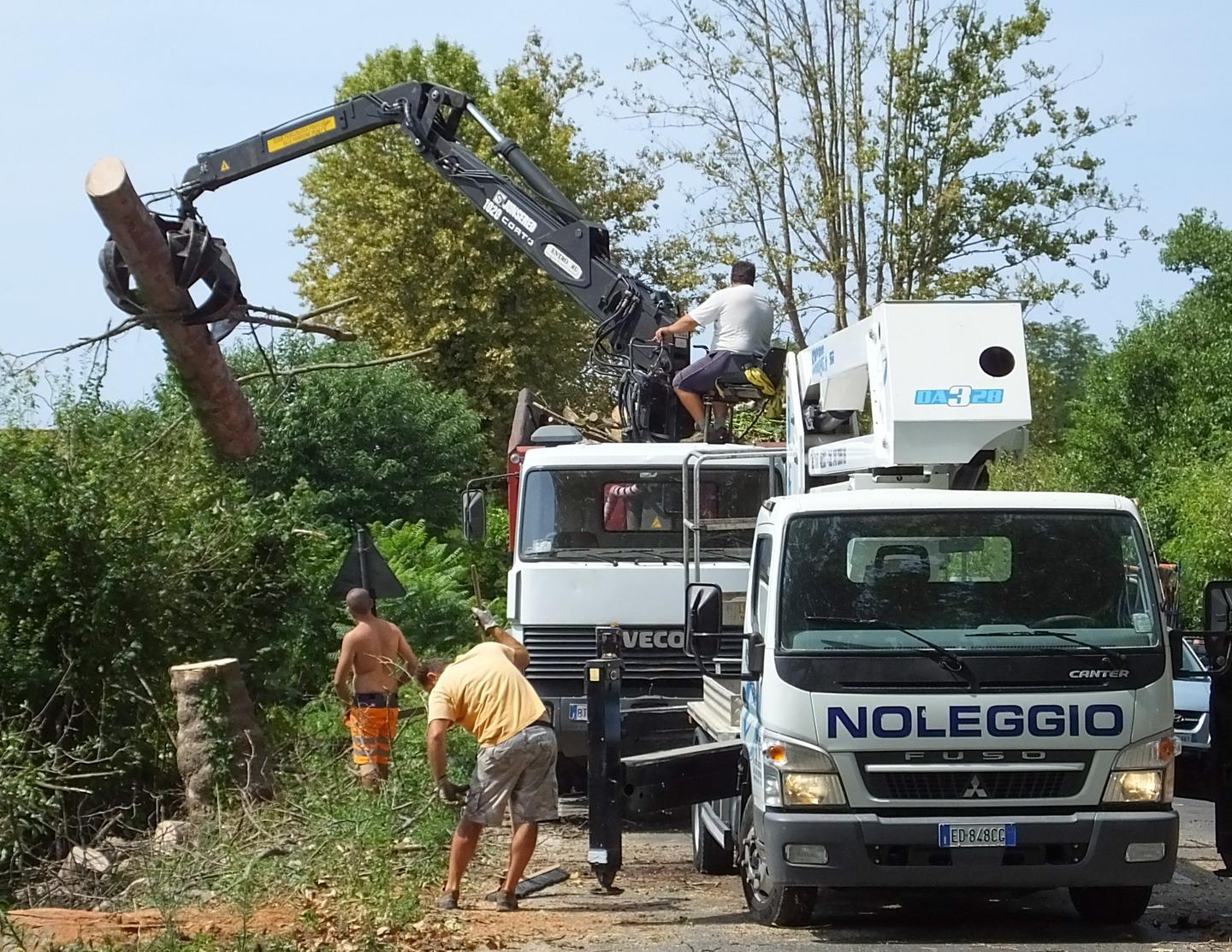 Viale D’Annunzio, Traffico A Rilento: Platani Abbattuti Dopo Il Nubifragio