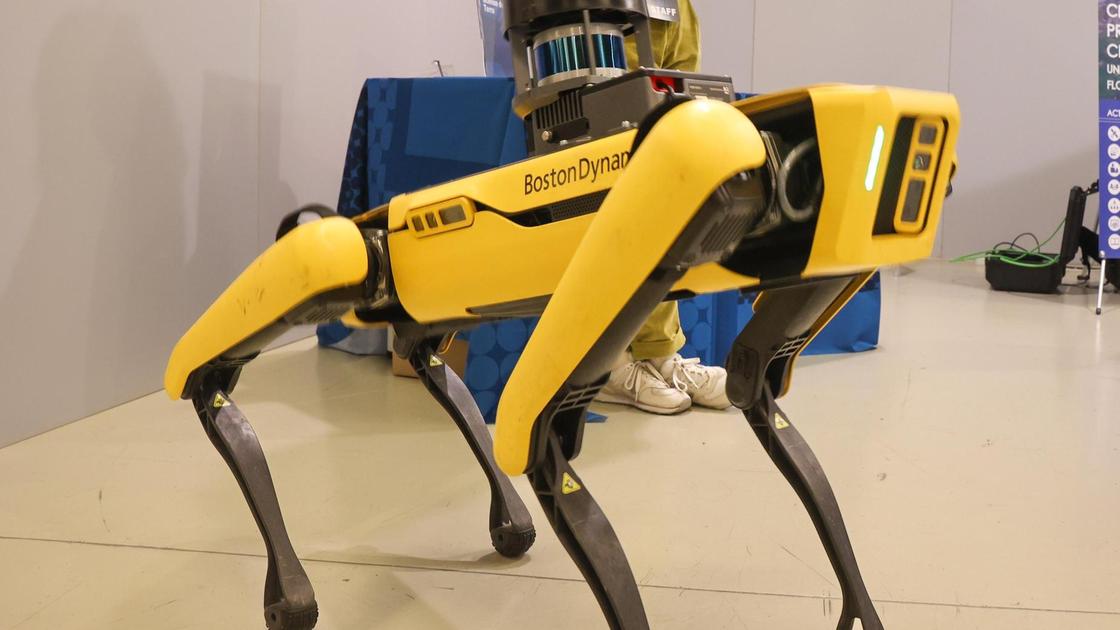 Genova, il cane robot a passeggio in centro e il cane vero si