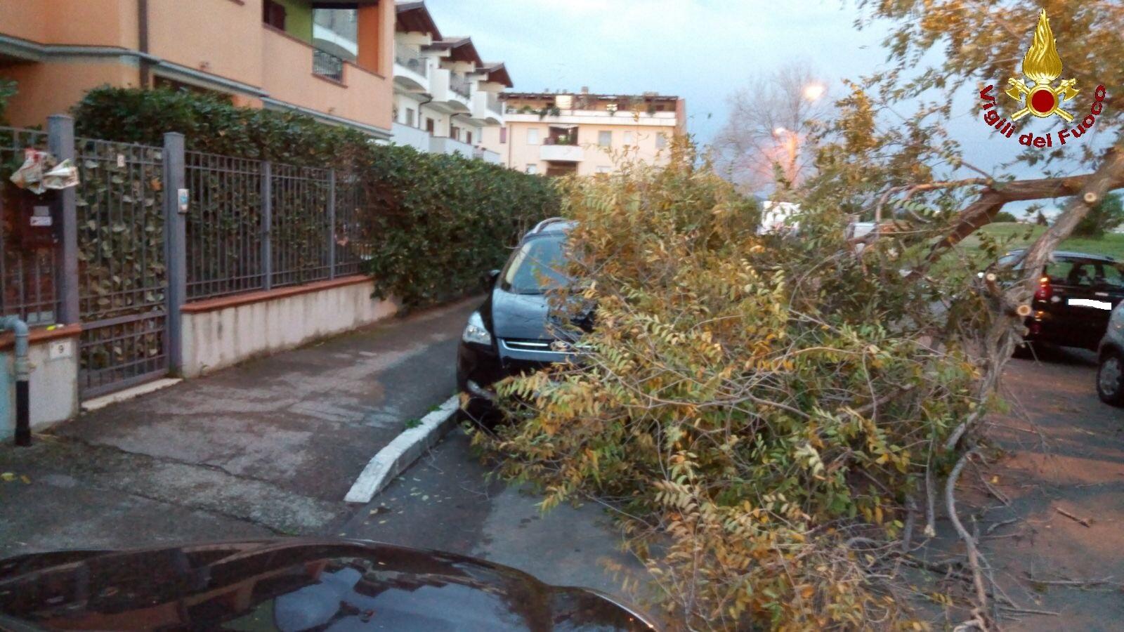 Vento Forte: Rami Pericolanti, Pali Della Luce E Tegole A Rischio