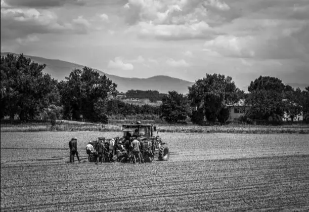 Gli agricoltori diventano star di Instagram