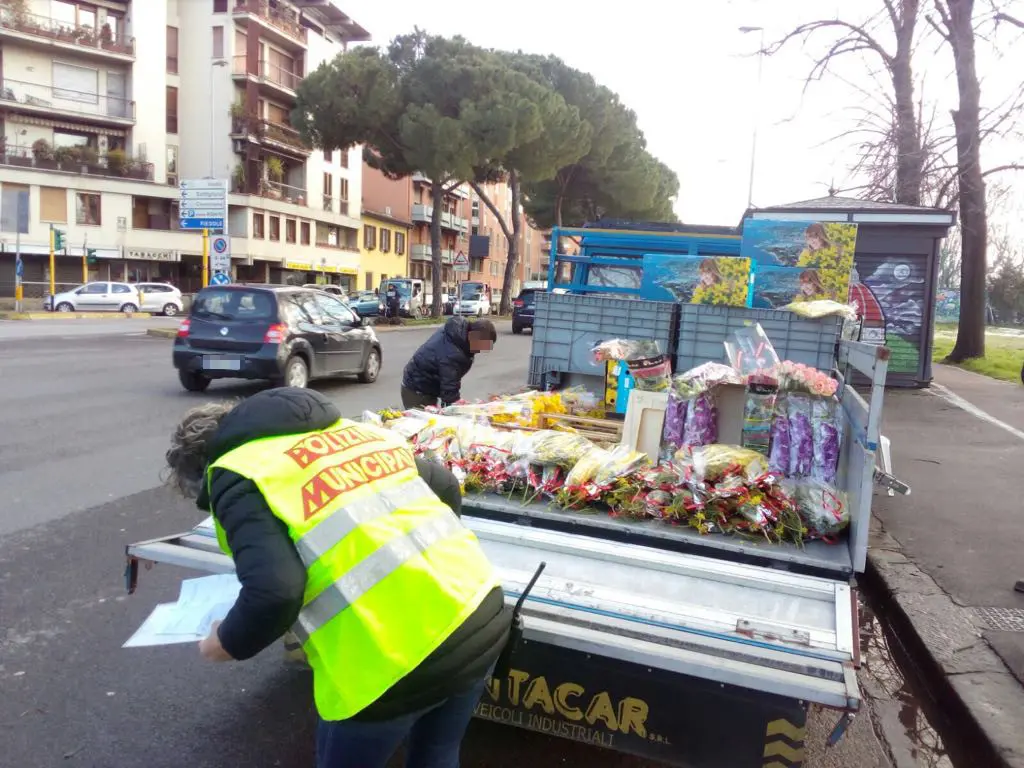 Mimose "abusive", multati cinque venditori. Sequestrati oltre 200 mazzi di fiori