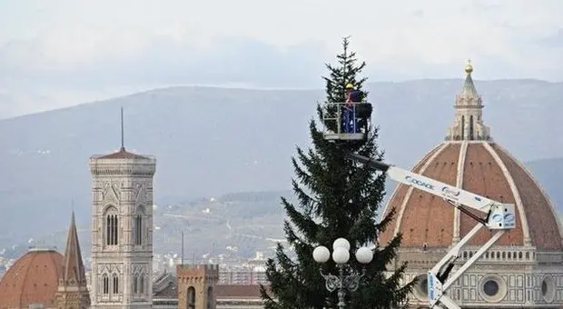 Maxi albero di Natale in Tir da Montemignaio a Firenze: domina piazzale Michelangelo