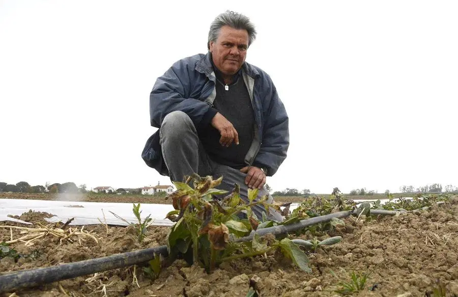 Siccità, allarme serio Montebamboli soffre