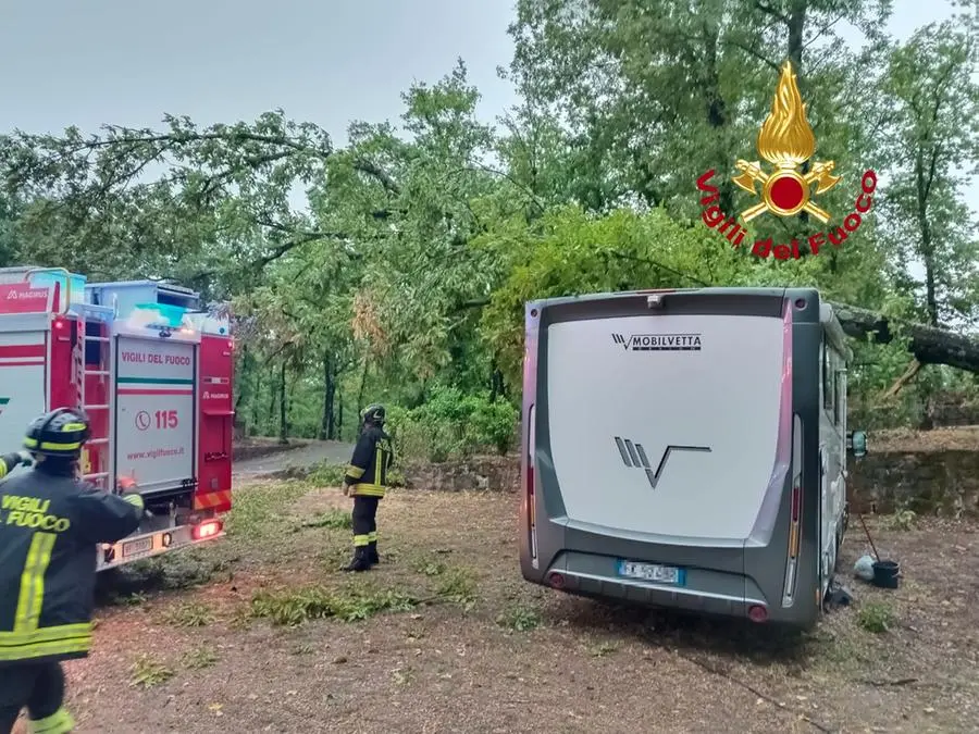 Maltempo Firenze: albero crollato sulla tramvia, famiglia bloccata in un camper, feriti