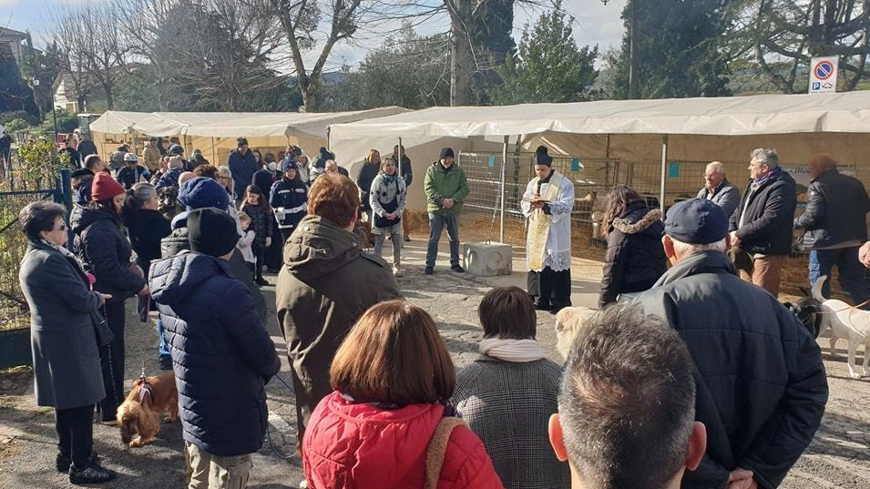 Torrita, la festa di Sant’Antonio. Cene e Passeggiate a 6 zampe