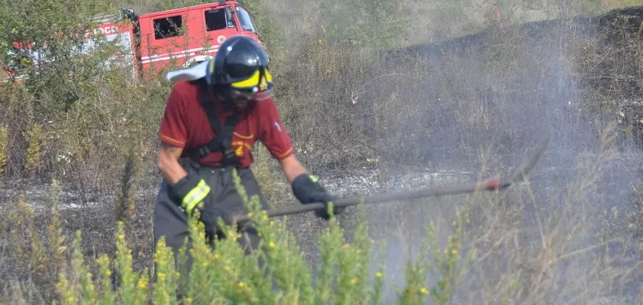 Ragazzini incendiano le piante in un parco di Capannoli. "Maleducati e irrispettosi"