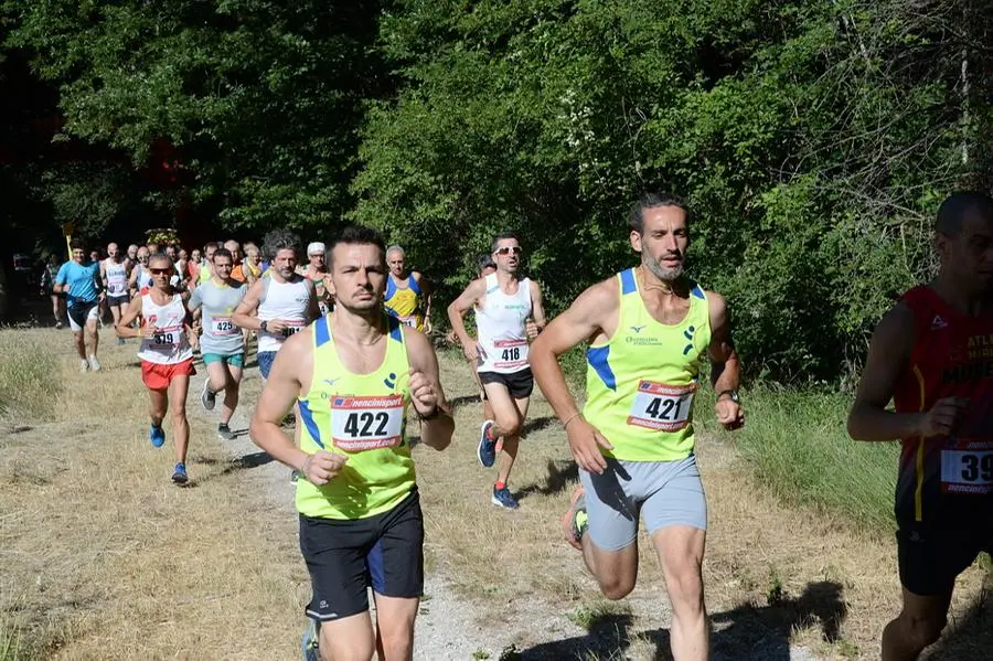 Corsa campestre di Mondeggi, foto e classifica