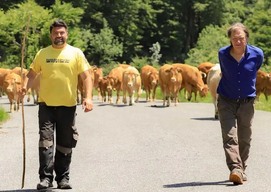 A Zeri si rinnova la transumanza. Paolo e Diego, custodi delle tradizioni