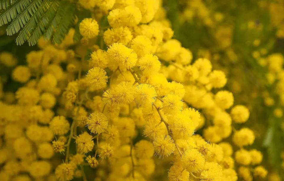 Festa della donna: ecco i migliori pensieri dei nostri lettori