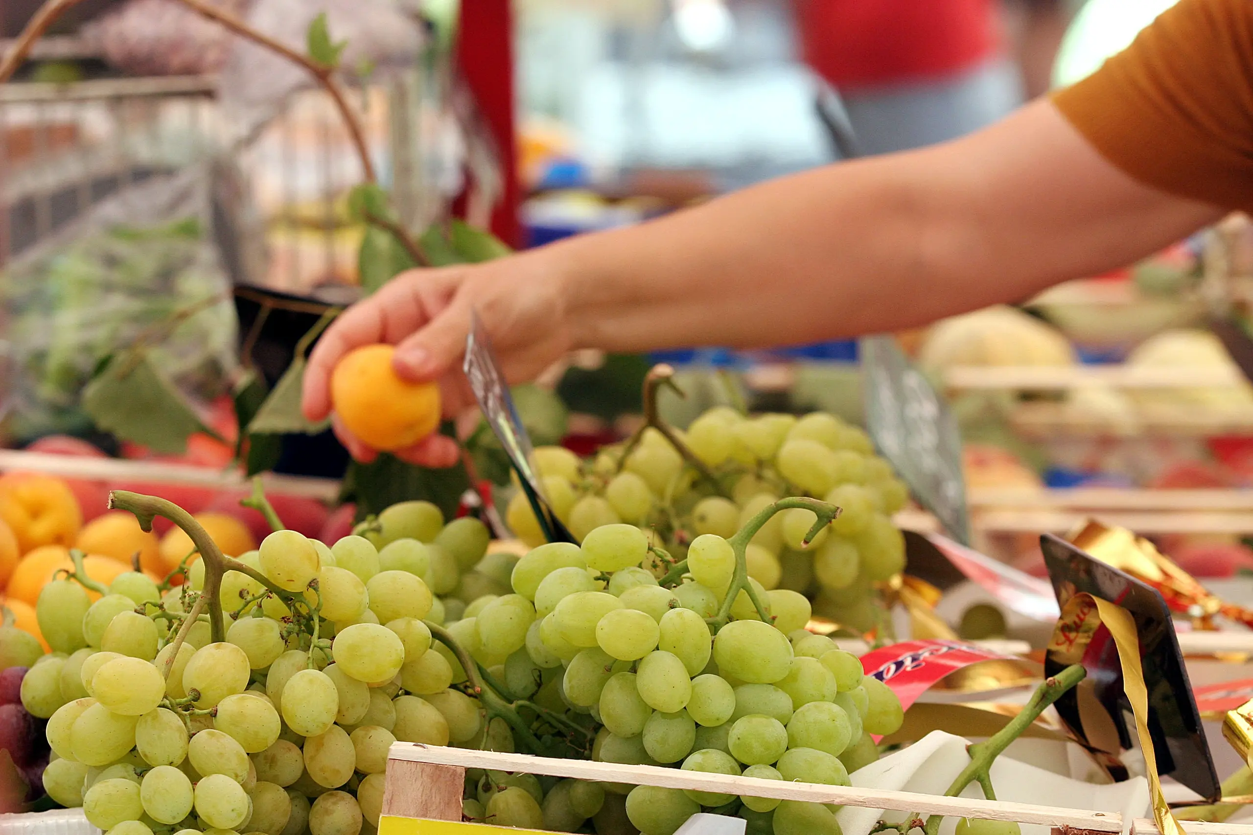 Alimentazione e dieta corretta, in piazza con il biologo nutrizionista