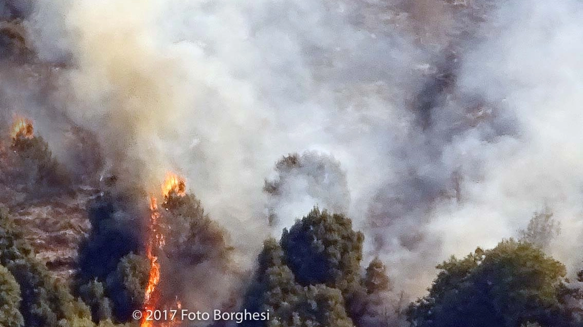 Incendio a Benabbio 