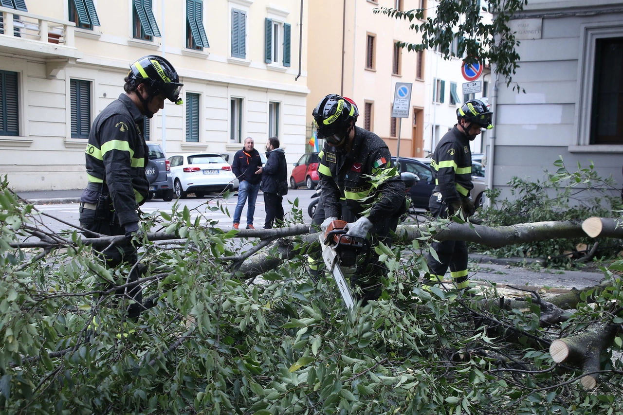 immagine di sfondo 2