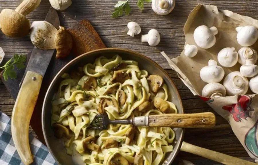 Funghi, ecco le migliori ricette