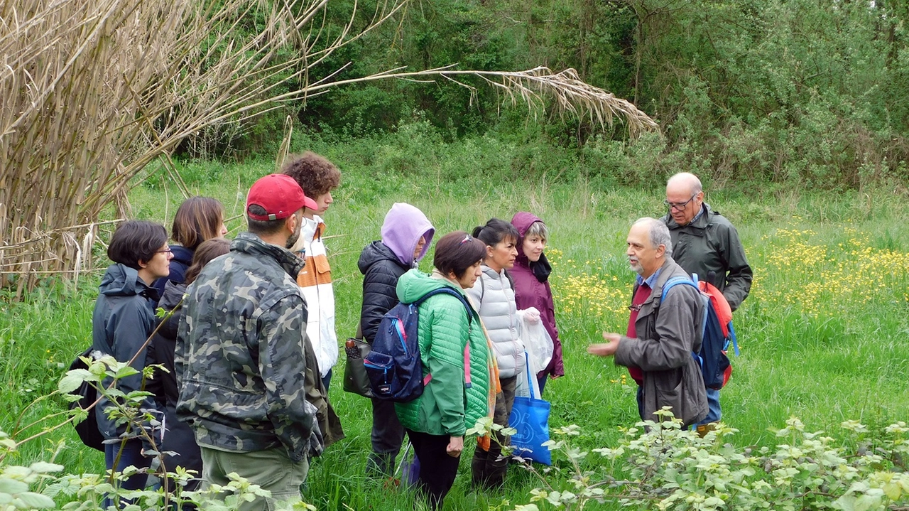 Piante selvatiche alimentari: un corso di Legambiente insegna a riconoscerle