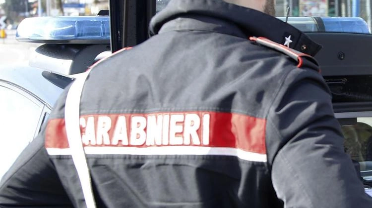Minaccia barista e Carabinieri, condannato