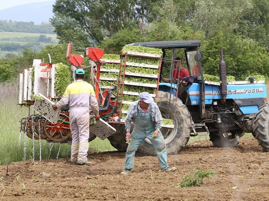 Umbria, "Bollette salate e rincari folli: agricoltura ko"