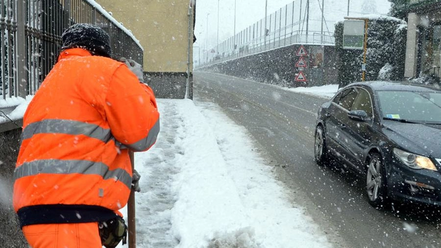 Un uomo spala la neve (Cardini)