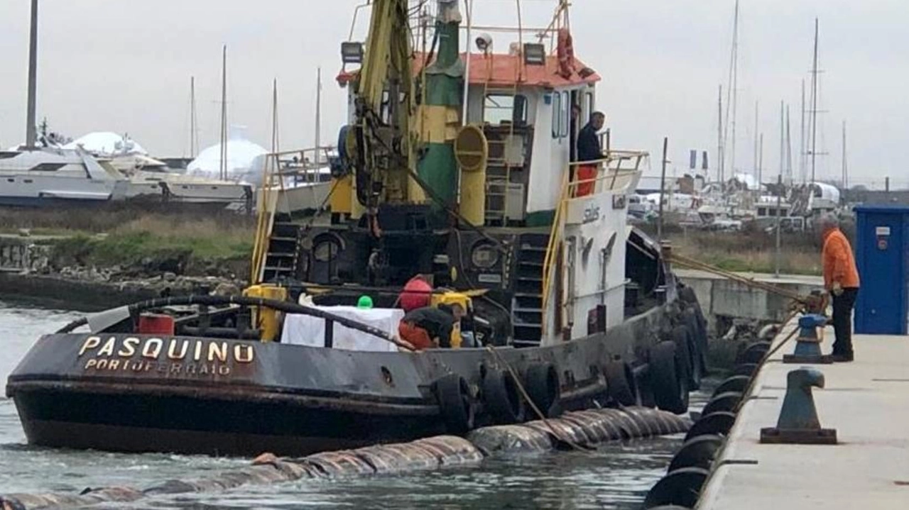 Viareggio: cresce un’isoletta davanti al porto. È la sabbia scaricata dalla draga a soli 300 metri dall’imboccatura