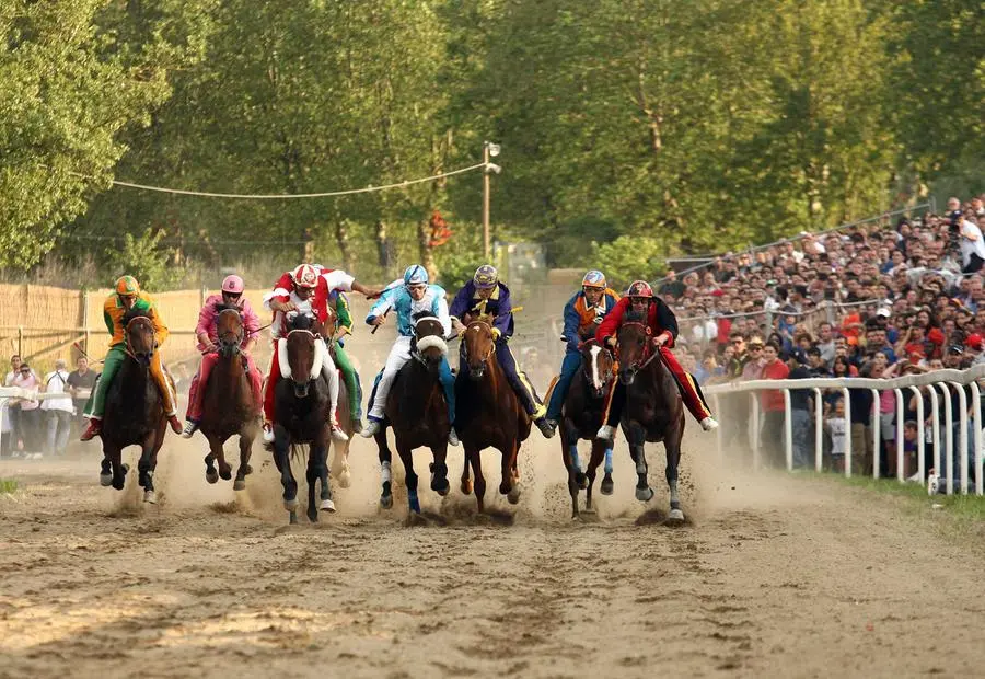 Fucecchio Palio delle Contrade due cavalli muoiono durante