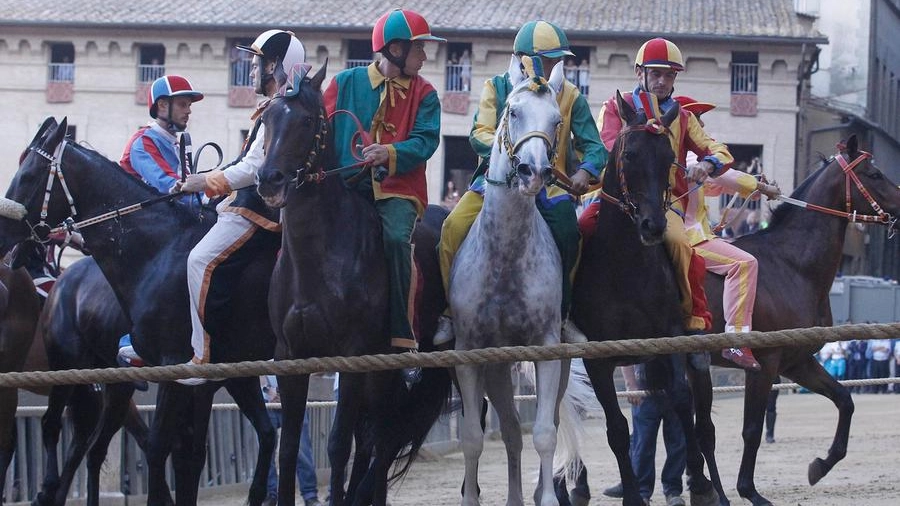 Siena, la prima prova del Palio al Valdimontone