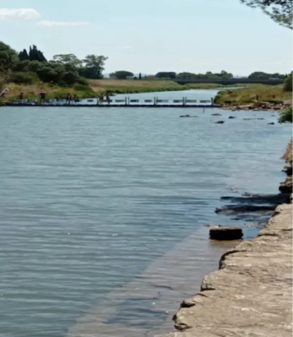 Orbetello, Arpat smentisce i dati di Legambiente: "foce del fiume Osa non inquinata"