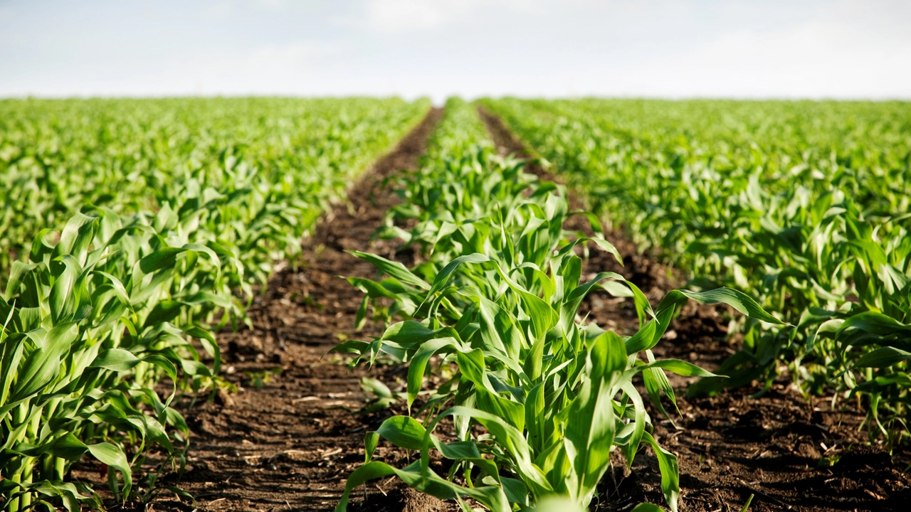 Arriva a Pisa CibiAmo: novità e best practies nel settore agroalimentare