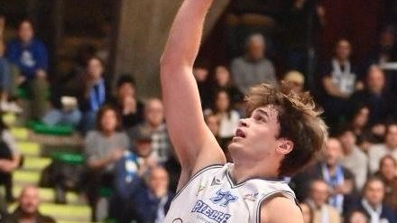 Quel peluche da lanciare in campo al match di basket