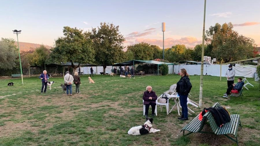 Il parco per i cani Amico del guinzaglio in via Rocca Tedalda