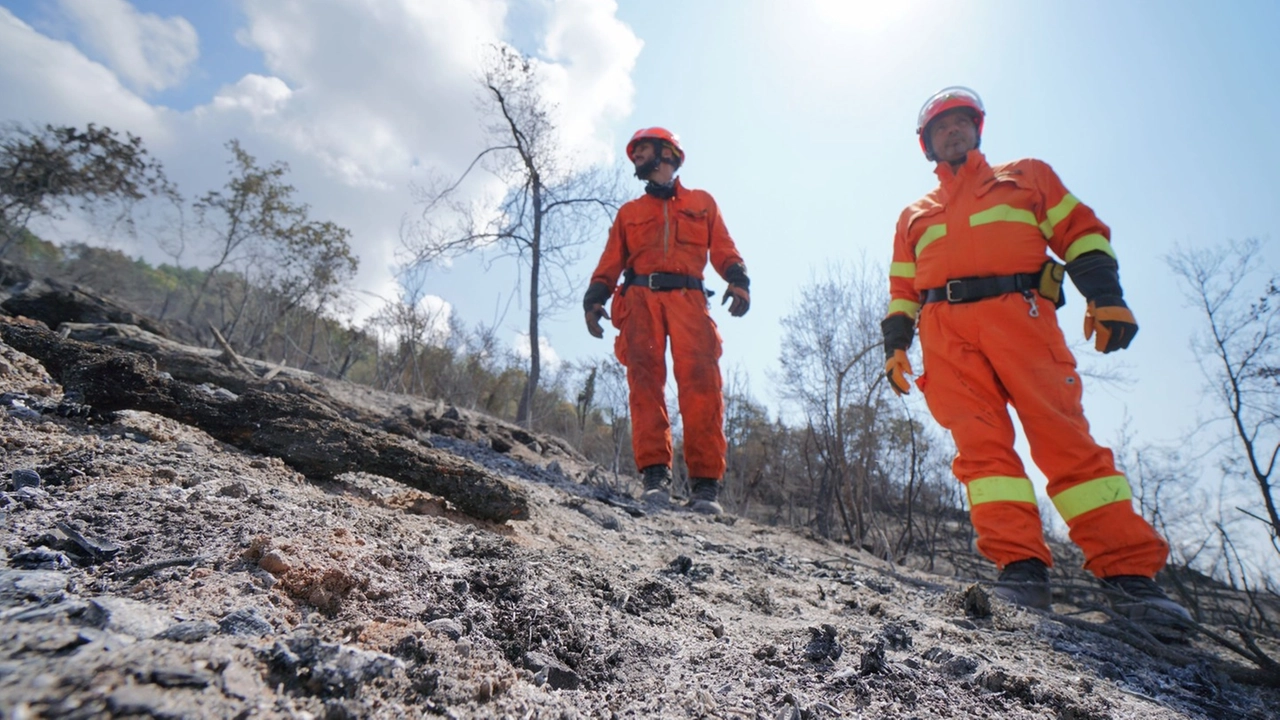 Montale dopo l'incendio (foto Gabriele Acerboni/FotoCastellani)